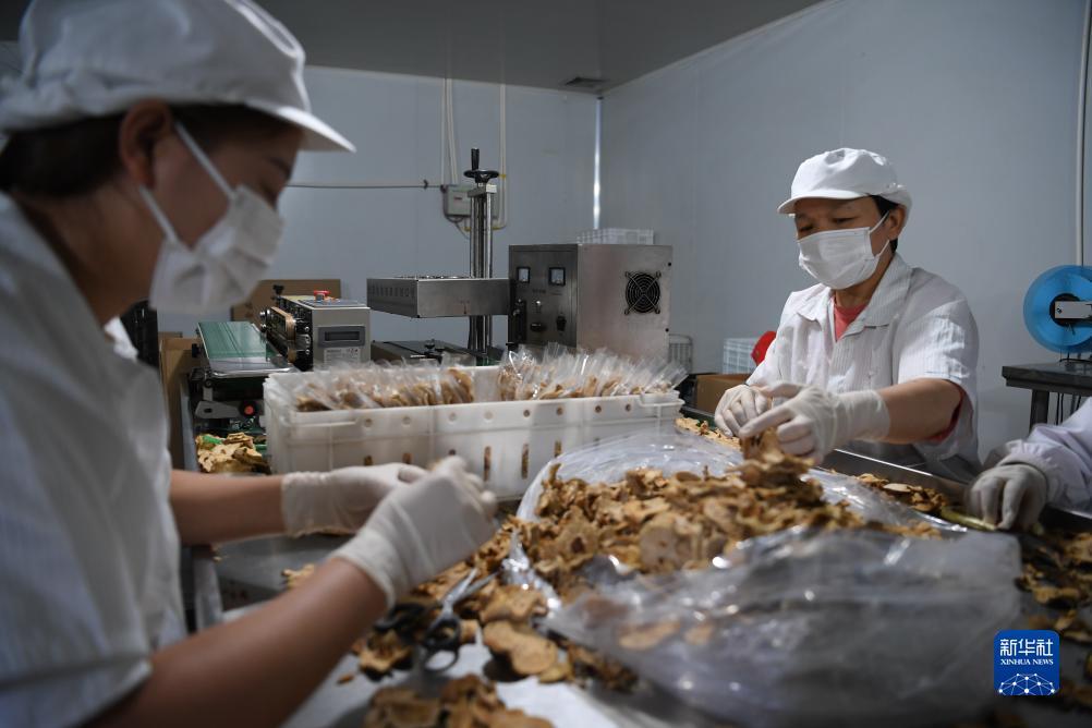万宝娱乐娱乐平台